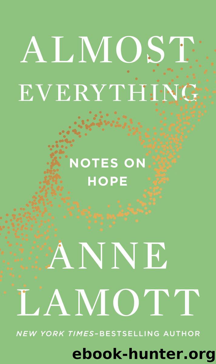 Almost Everything by Anne Lamott