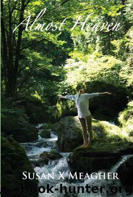 Almost Heaven by Susan X Meagher