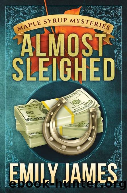 Almost Sleighed by Emily James