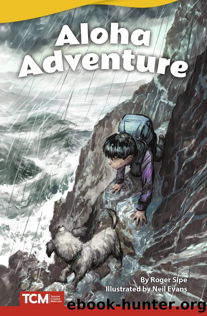 Aloha Adventure by Roger Sipe