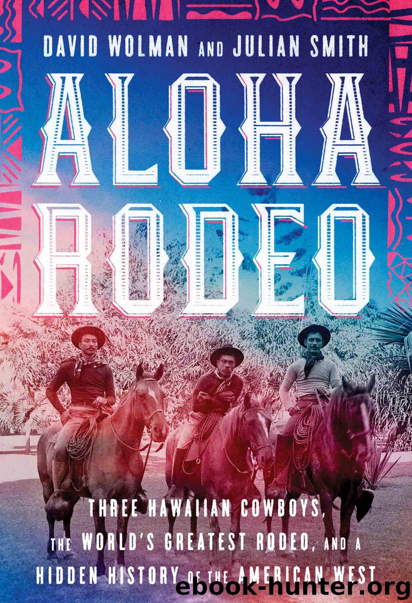Aloha Rodeo by David Wolman