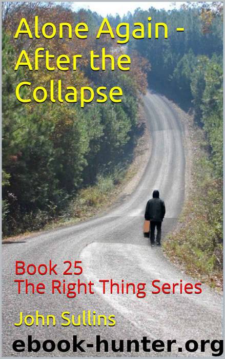 Alone Again_After the Collapse by John Sullins