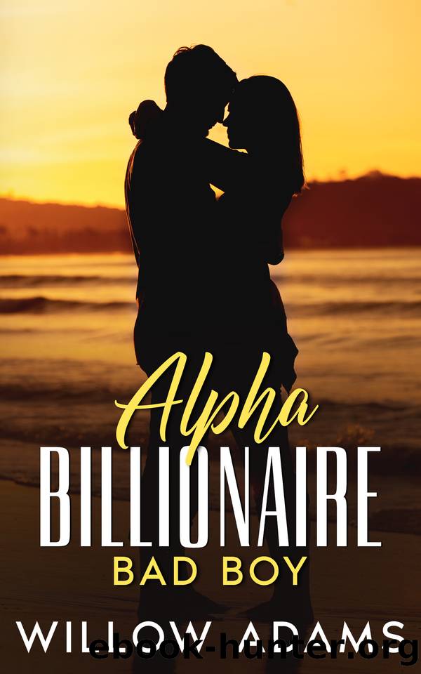 Alpha Billionaire Bad Boy: An enemies to lovers romance by Willow Adams
