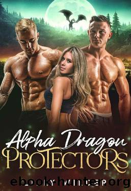 Alpha Dragon Protectors: Menage Rejected Mate Romance by Lilly Wilder