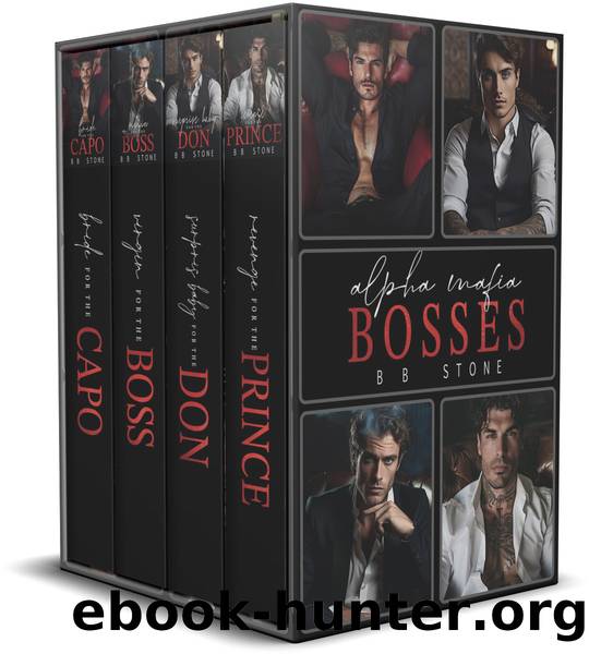 Alpha Mafia Bosses: Secret Babies and Second Chances: A Protector Mafia Boxset by Stone BB