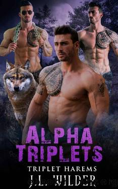 Alpha Triplets (Triplet Harems Book 4) by J.L. Wilder