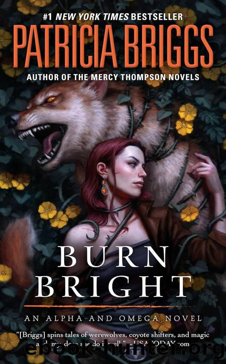 Alpha and Omega 06: Burn Bright by Patricia Briggs