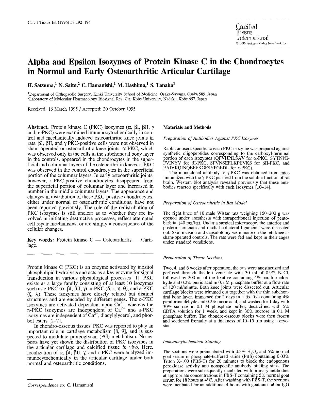 Alpha and epsilon isozymes of protein kinase C in the chondrocytes in normal and early osteoarthritic articular cartilage by Unknown
