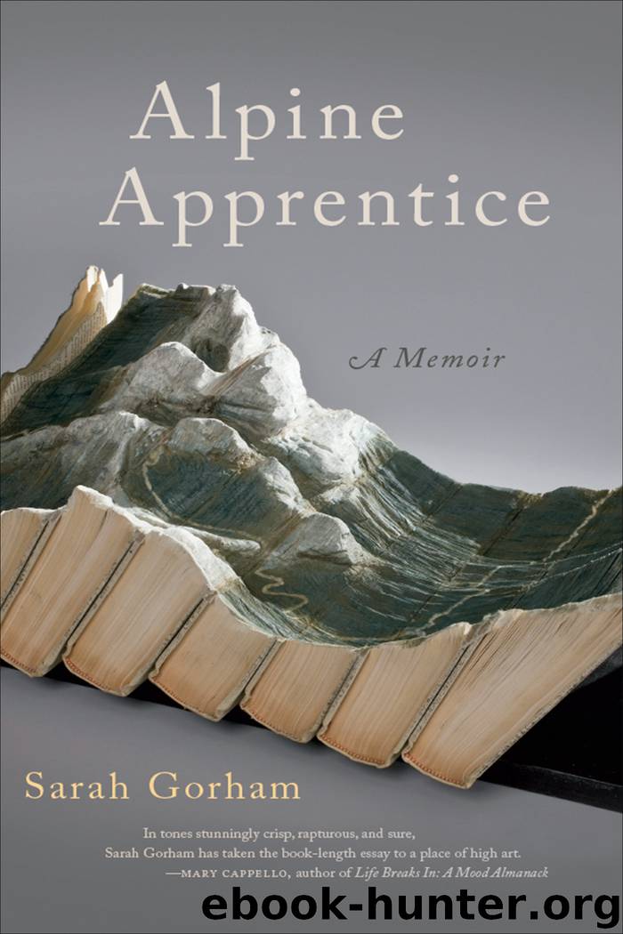 Alpine Apprentice by sarah gorham John Griswold