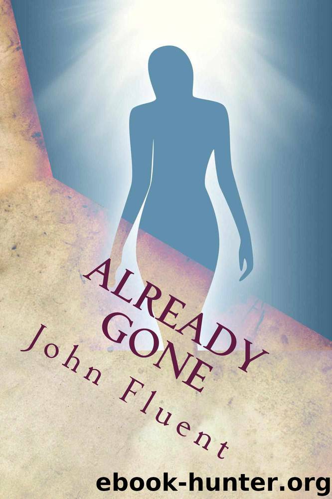Already Gone by John Fluent