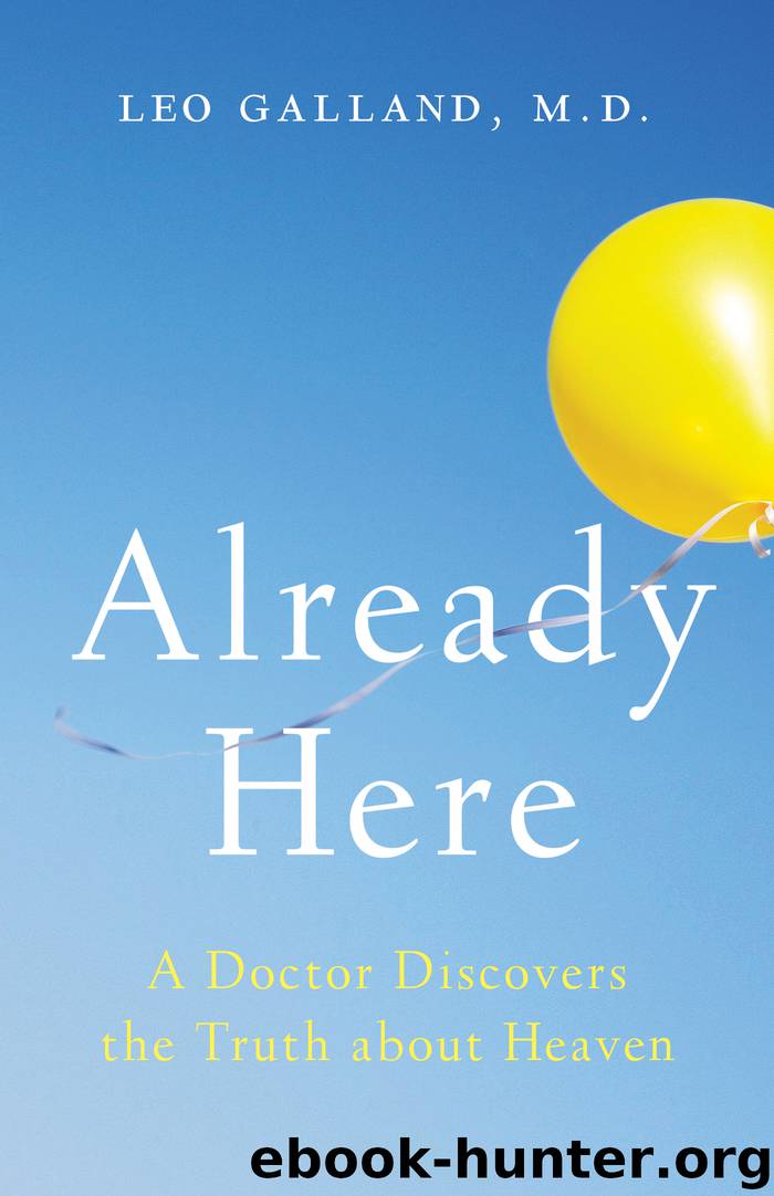 Already Here by Leo Galland