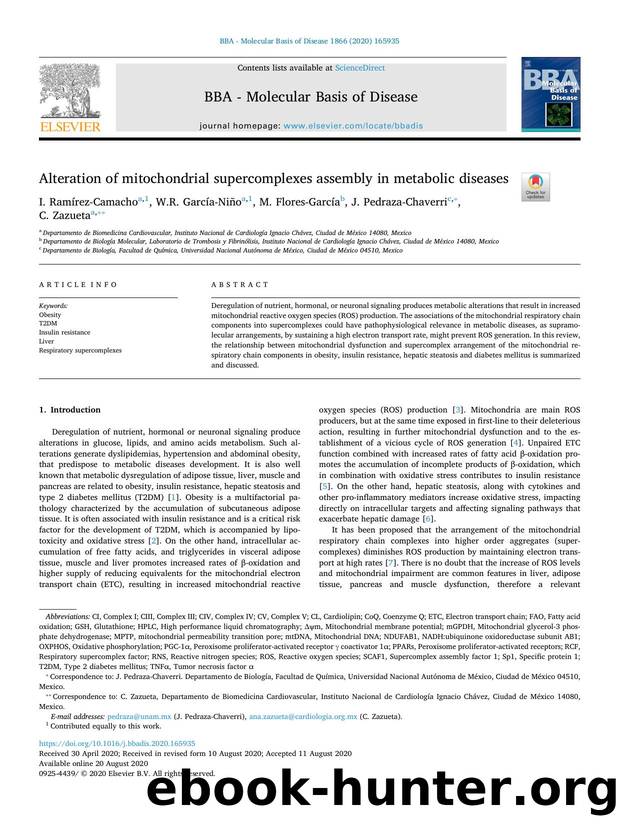 Alteration of mitochondrial supercomplexes assembly in metabolic diseases by I. Ramírez-Camacho & W.R. García-Niño & M. Flores-García & J. Pedraza-Chaverri & C. Zazueta