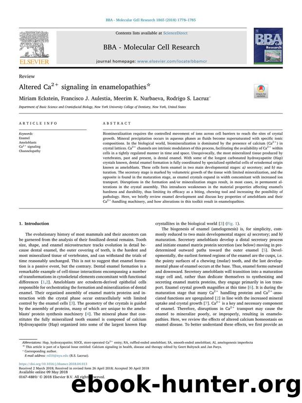 Altered Ca2+ signaling in enamelopathies by Miriam Eckstein & Francisco J. Aulestia & Meerim K. Nurbaeva & Rodrigo S. Lacruz