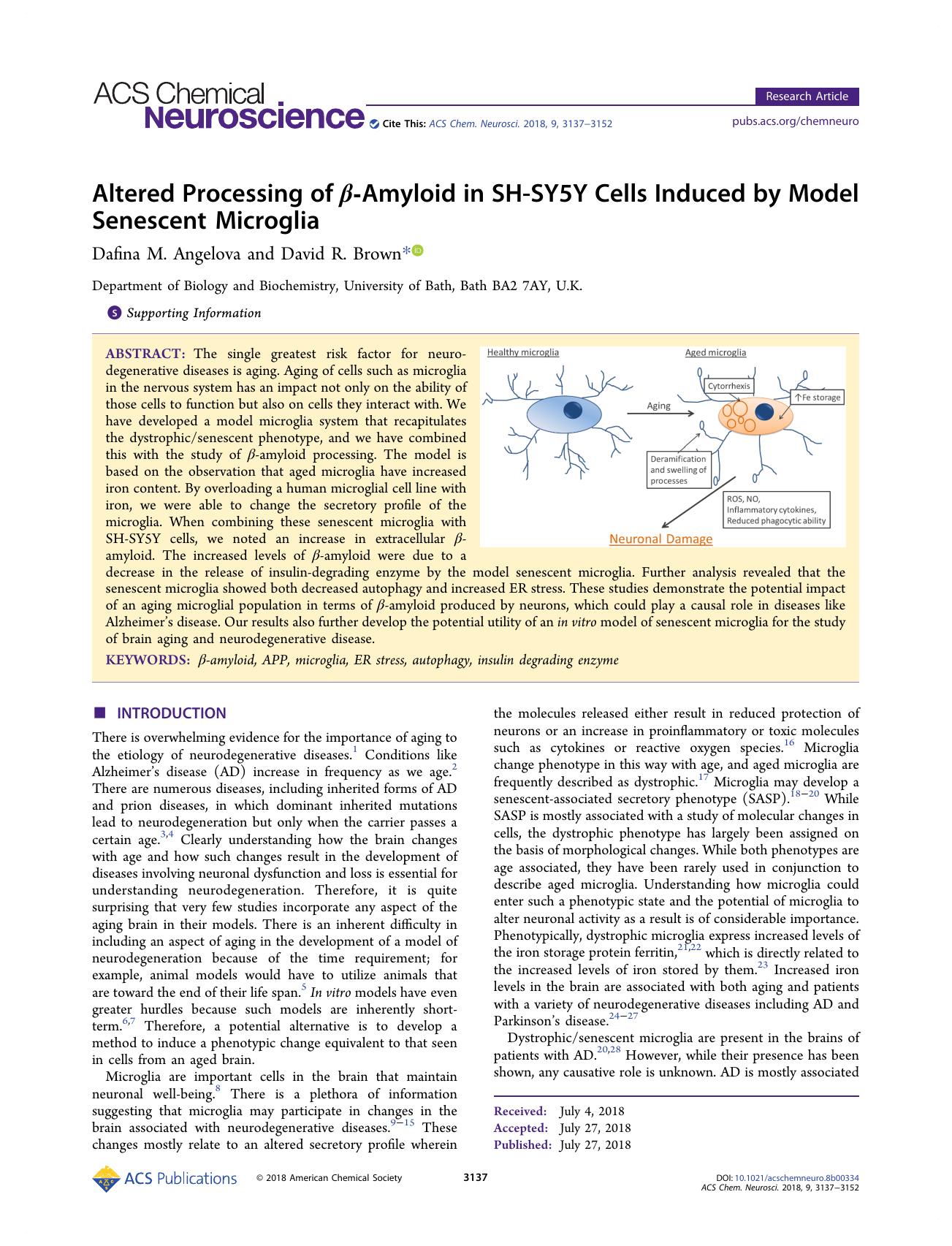 Altered Processing of Î²-Amyloid in SH-SY5Y Cells Induced by Model Senescent Microglia by Dafina M. Angelova and David R. Brown