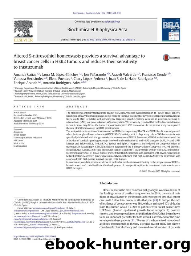 Altered S-nitrosothiol homeostasis provides a survival advantage to breast cancer cells in HER2 tumors and reduces their sensitivity to trastuzumab by unknow