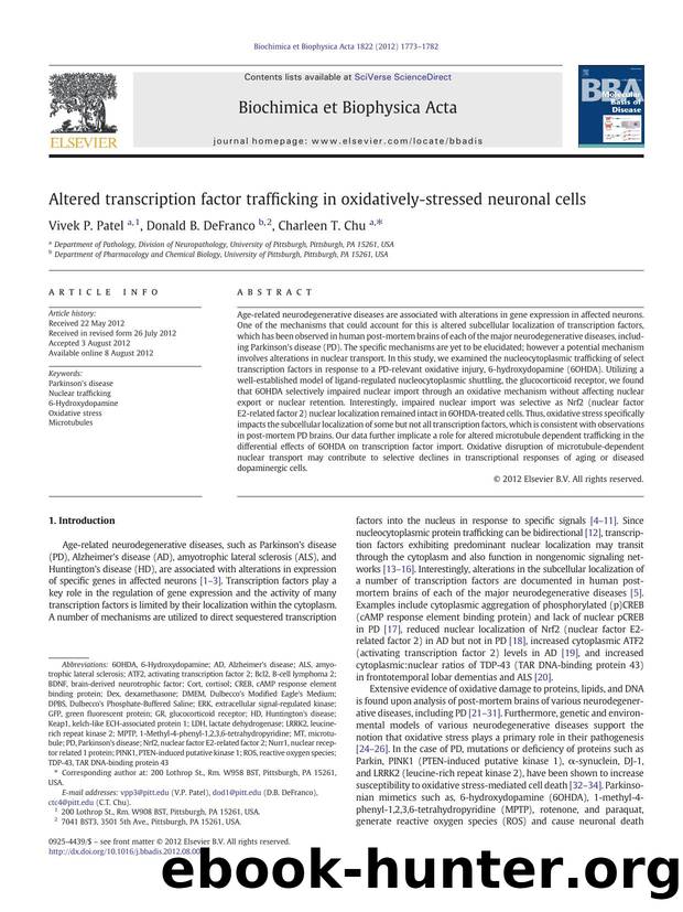 Altered transcription factor trafficking in oxidatively-stressed neuronal cells by Vivek P. Patel & Donald B. DeFranco & Charleen T. Chu