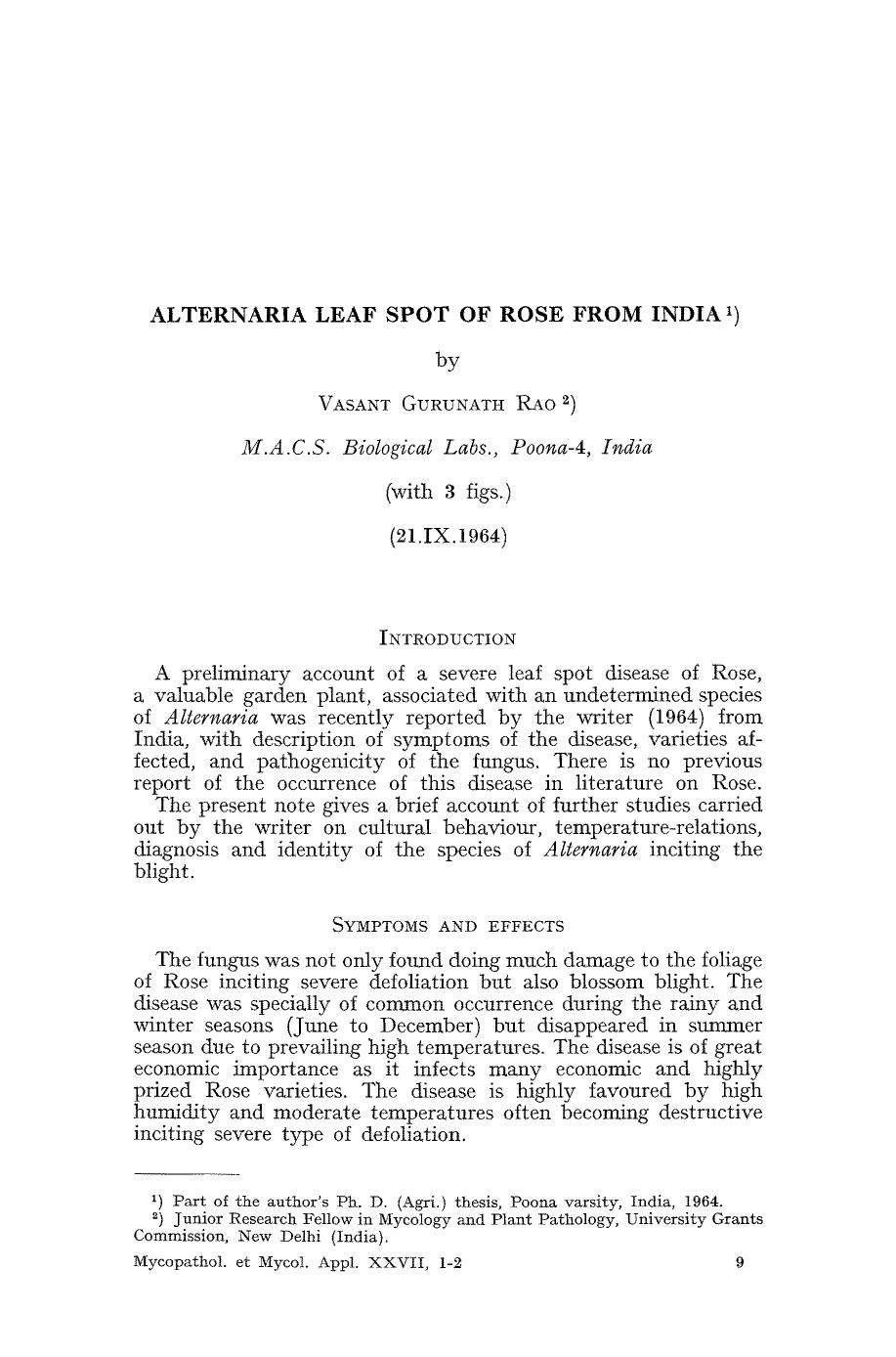 Alternaria leaf spot of rose from India by Unknown