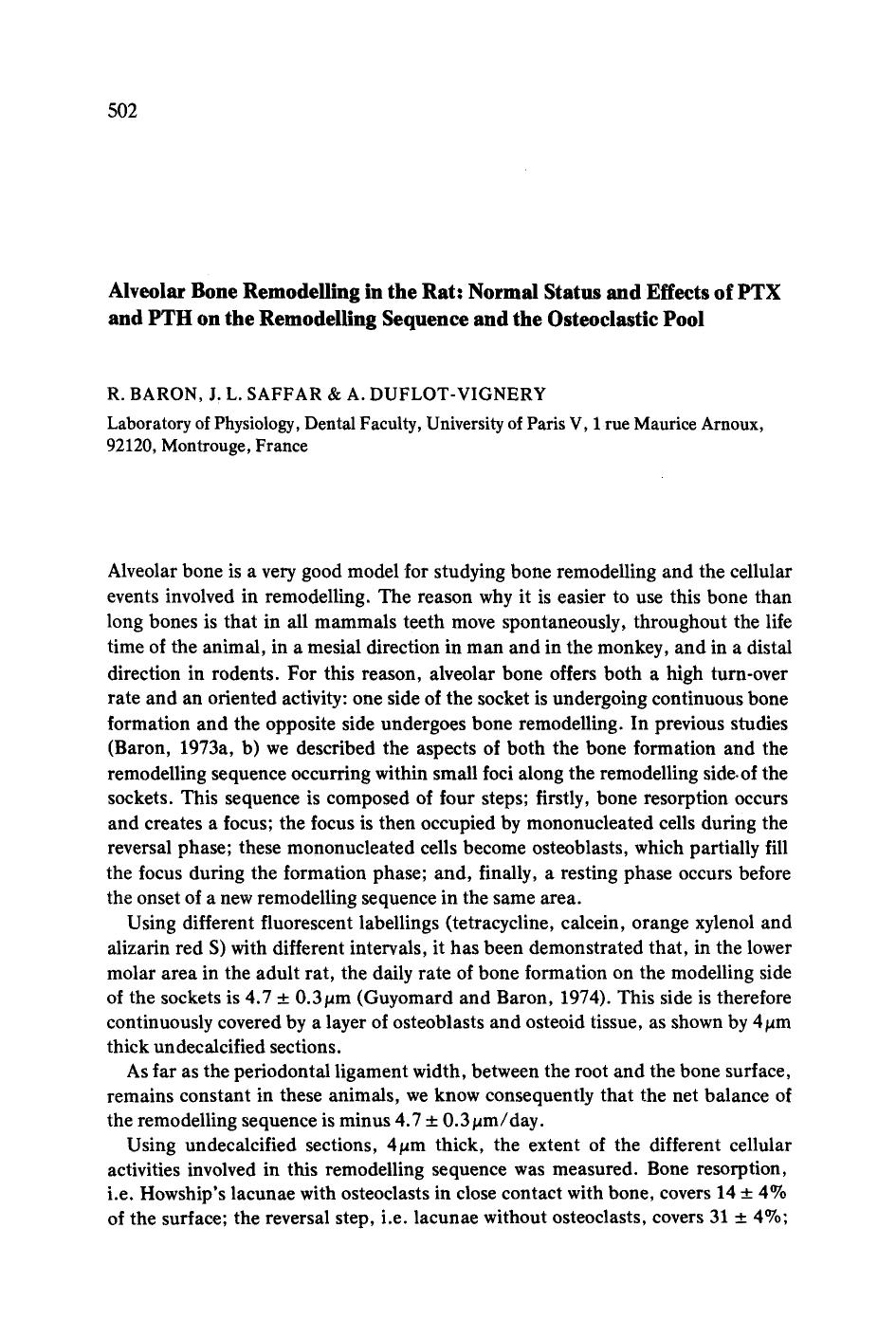 Alveolar bone remodelling in the rat: Normal status and effects of PTX and PTH on the remodelling sequence and the osteoclastic pool by Unknown