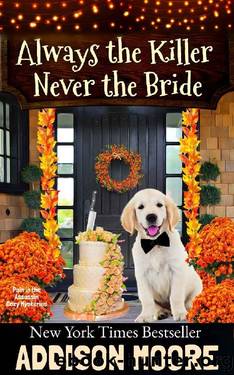 Always the Killer Never the Bride (Pain in the Assassin Cozy Mysteries Book 1) by Addison Moore