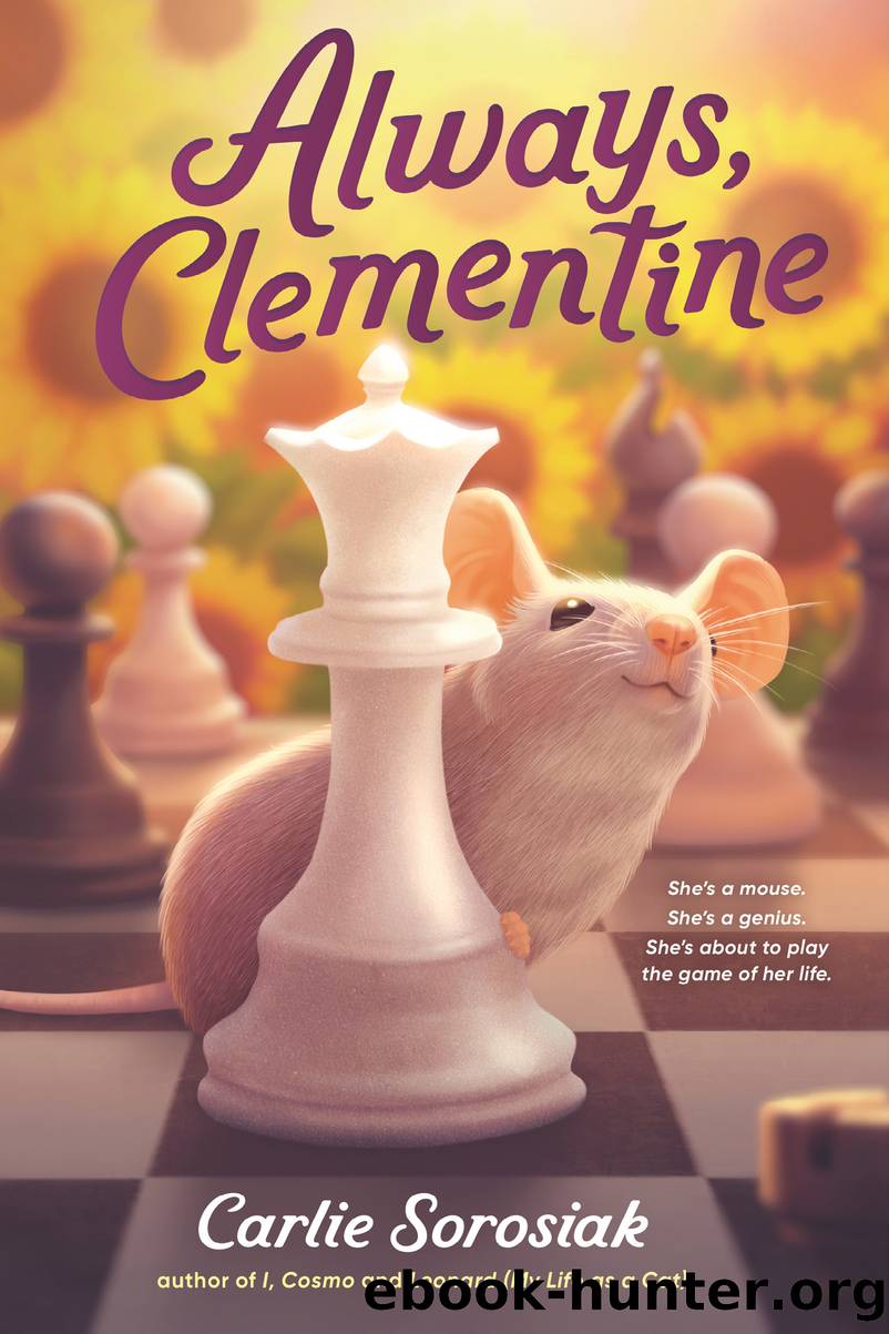 Always, Clementine by Carlie Sorosiak