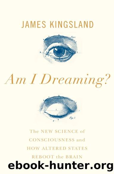 Am I Dreaming?: The Science of Altered States, From Psychedelics to Virtual Reality, and Beyond by James Kingsland