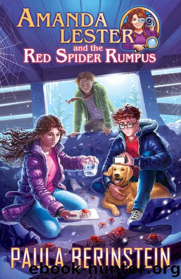 Amanda Lester and the Red Spider Rumpus by Paula Berinstein