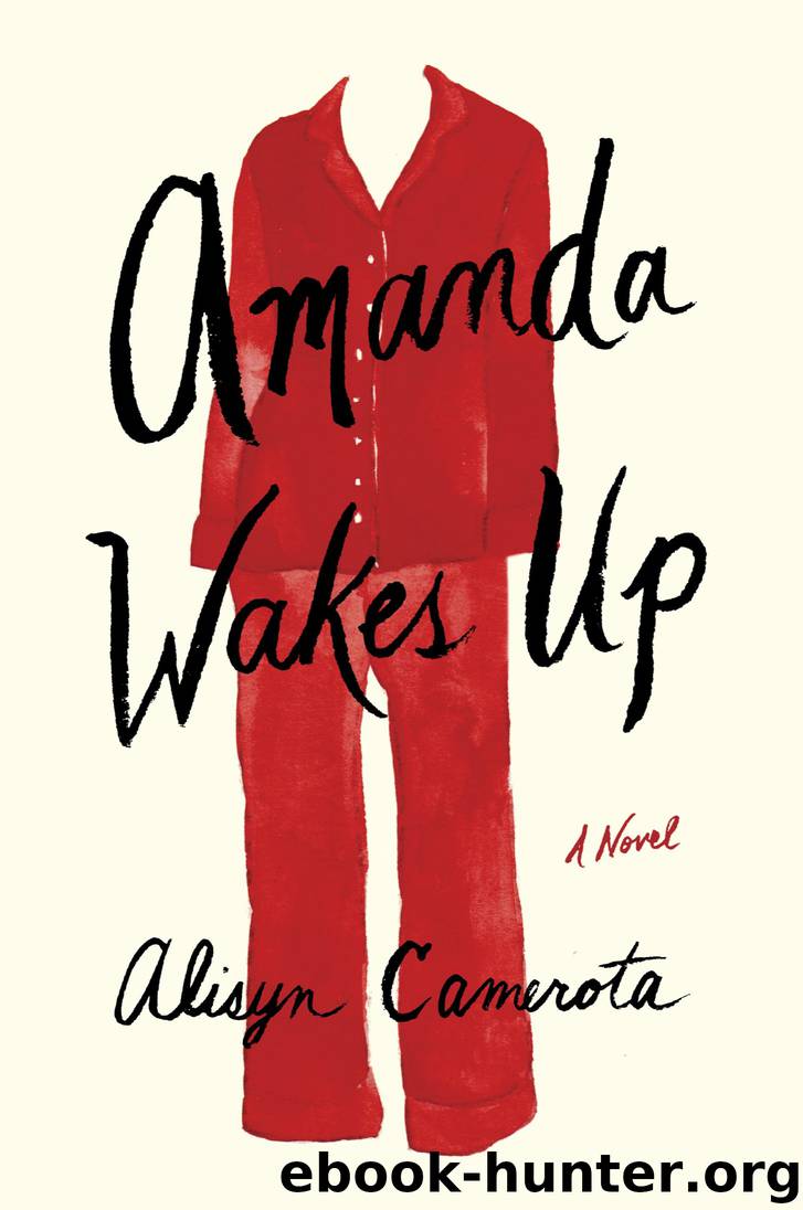 Amanda Wakes Up by Alisyn Camerota