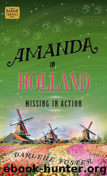 Amanda in Holland by Foster Darlene;