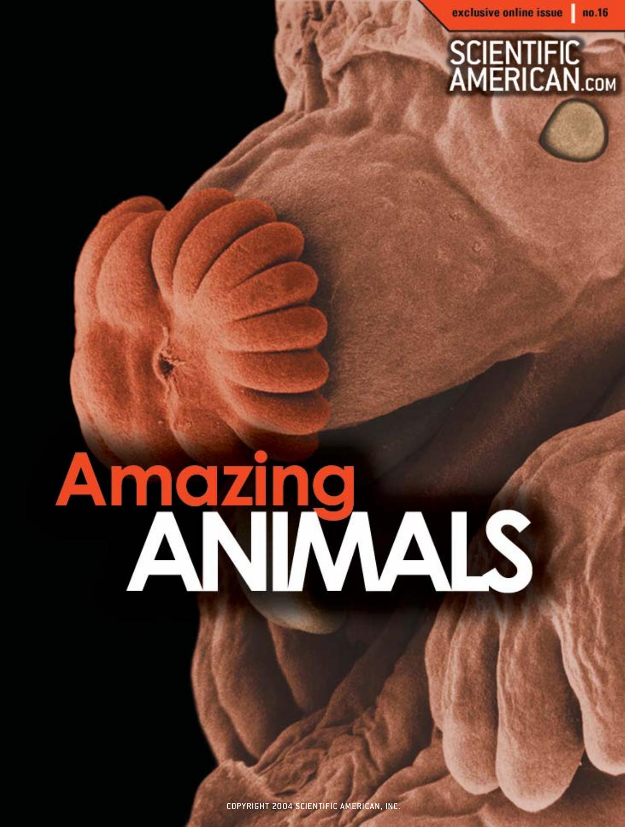 Amazing Animals (Scientific American Special Online Issue No. 16) by Scientific American