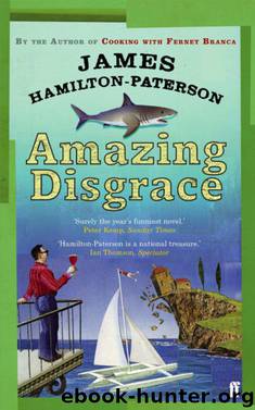 Amazing Disgrace by James Hamilton-Paterson
