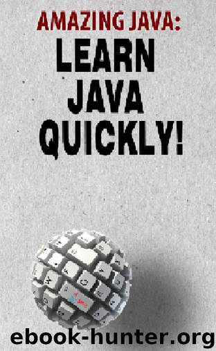 Amazing JAVA: Learn JAVA Quickly! by Andrei Besedin