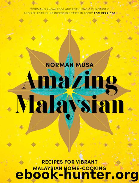 Amazing Malaysian by Musa Norman