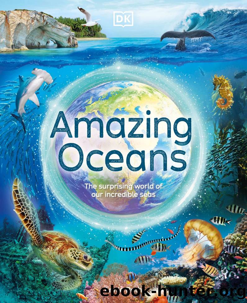 Amazing Oceans: The Surprising World of Our Incredible Seas by Annie Roth