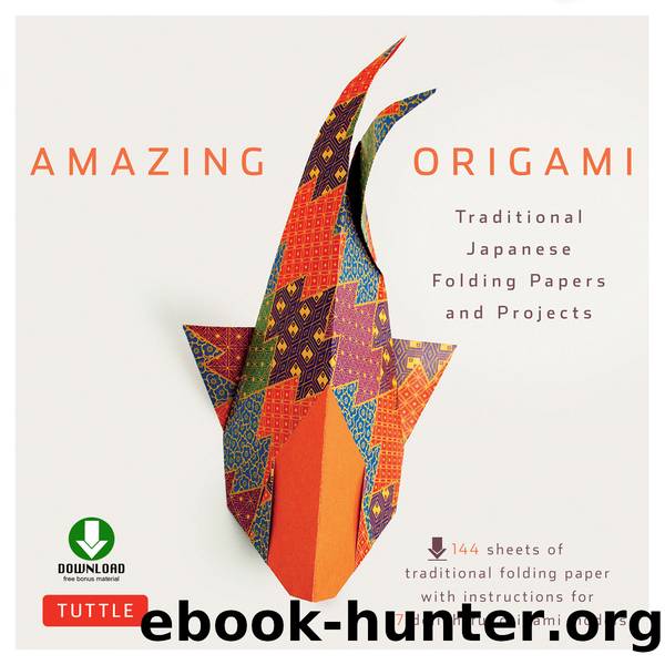 Amazing Origami by Tuttle Publishing