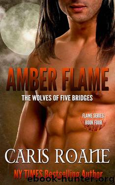 Amber Flame (The Flame Series Book 4) by Caris Roane