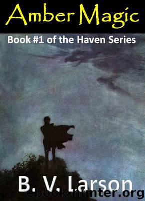 Amber Magic (Haven Series #1) by B. V. Larson