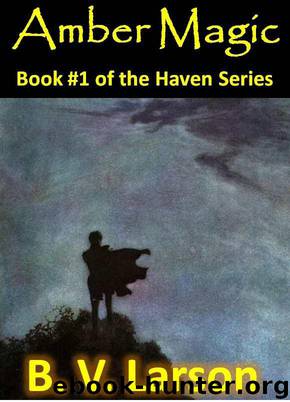Amber Magic by B. V. Larson