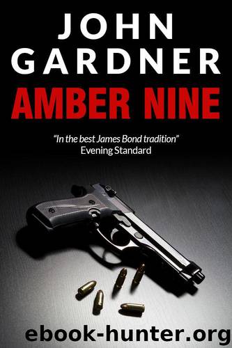 Amber Nine by Gardner John