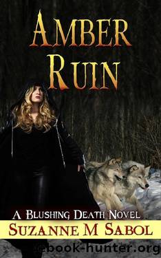 Amber Ruin by Suzanne M Sabol
