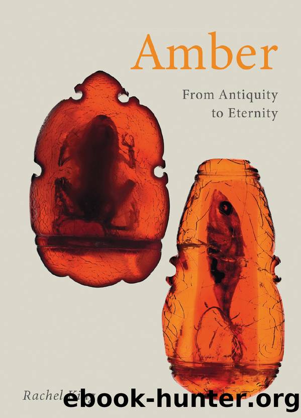 Amber by Rachel King