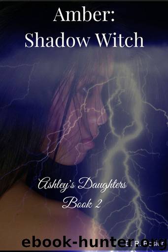 Amber- Shadow Witch by D R Rosier