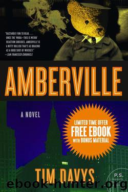 Amberville by Tim Davys