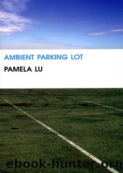 Ambient Parking Lot by Pamela Lu