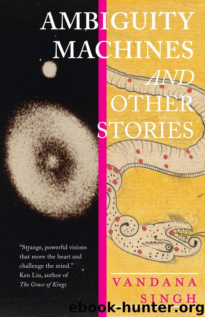 Ambiguity Machines by Vandana Singh