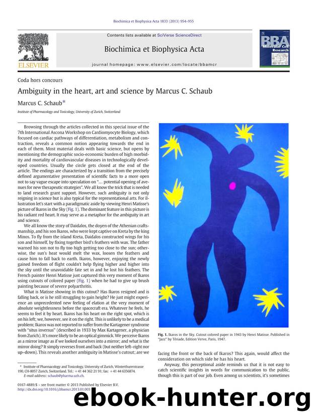 Ambiguity in the heart, art and science by Marcus C. Schaub by Marcus C. Schaub