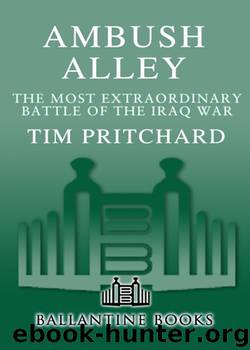 Ambush Alley by Tim Pritchard