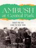 Ambush at Central Park: When the IRA Came to New York by Mark Bulik
