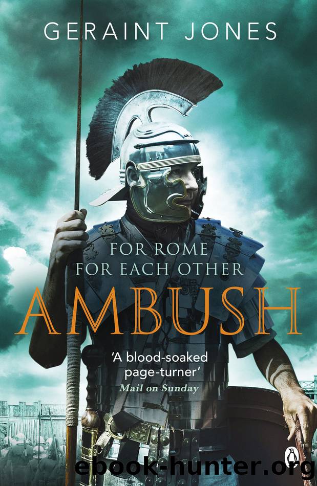 Ambush by Geraint Jones