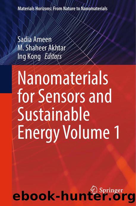 Ameen S. Nanomaterials for Sensors and Sustainable Energy Vol 1. 2025 by Unknown