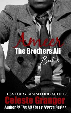 Ameer (The Brothers Ali Book 5) by Celeste Granger